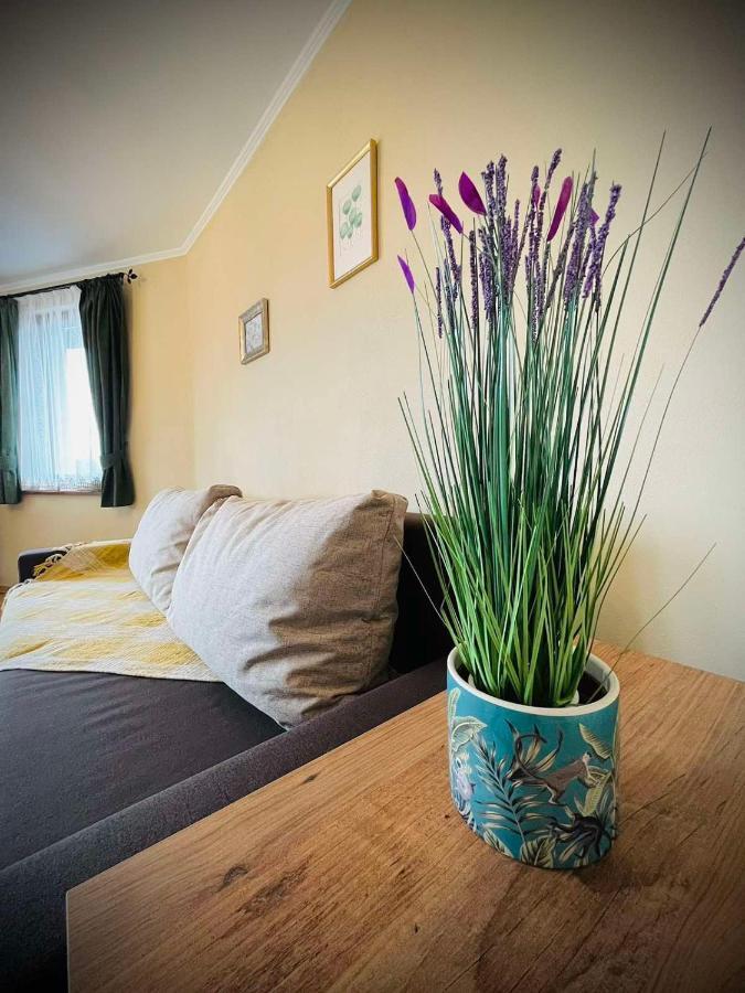 The Green Guest House Of Veliko Tarnovo-Amazing View, Top Location Exteriör bild